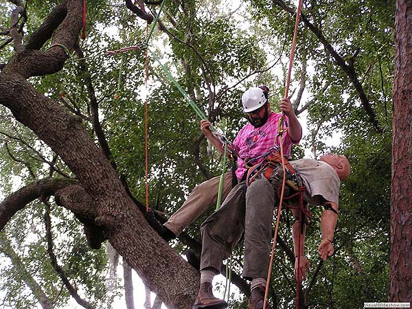 Rick Competing in the Aerial Rescue Event.<br/>Geezers In The Treezers January 2009