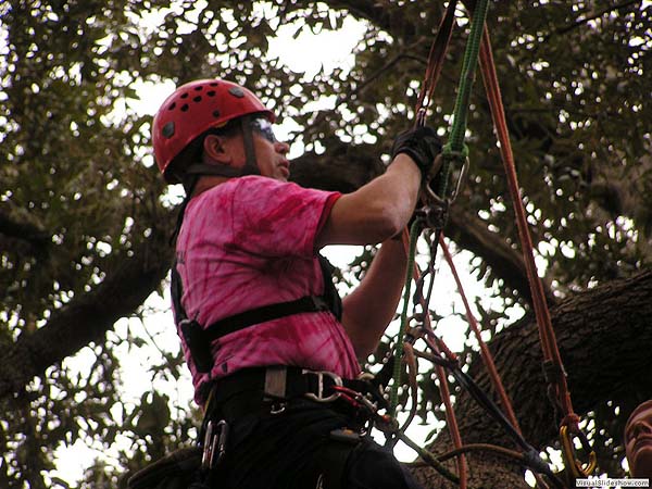Jake Competing in the Aerial Rescue Event.<br/>Geezers In The Treezers January 2009