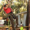 On Rope!<br/>Geezers In The Treezers Competition, FL<br/>January 2013