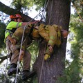 Got You Bro!<br/>Aerial Rescue Trianing