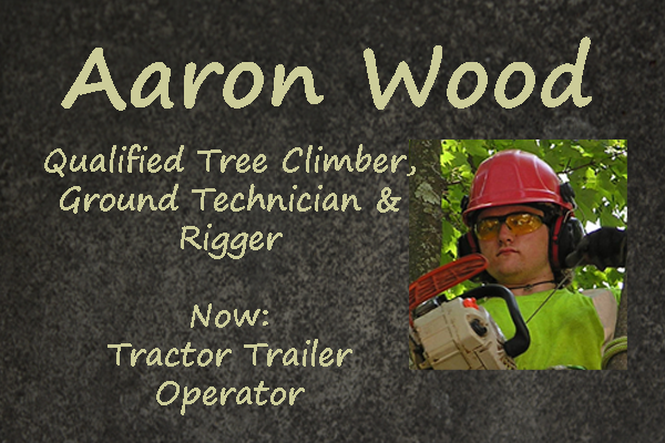 Trees Vermont Team Member Aaron Wood Arborist