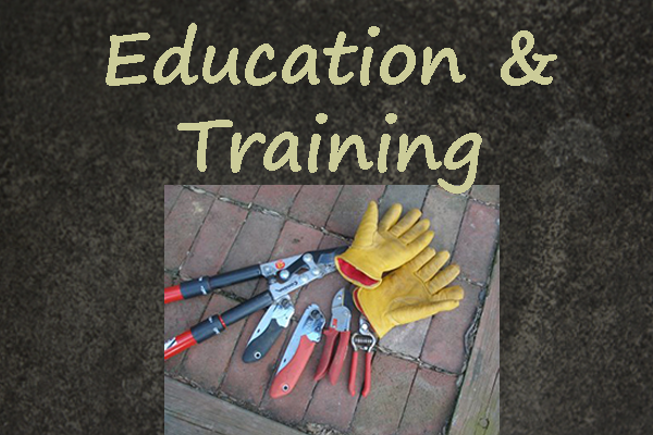 Tree Trimming, Pruning and Care Training for Homeowners