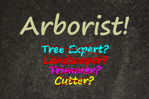 Trees Vermont Tree Service:  Why Hire An Arborist?