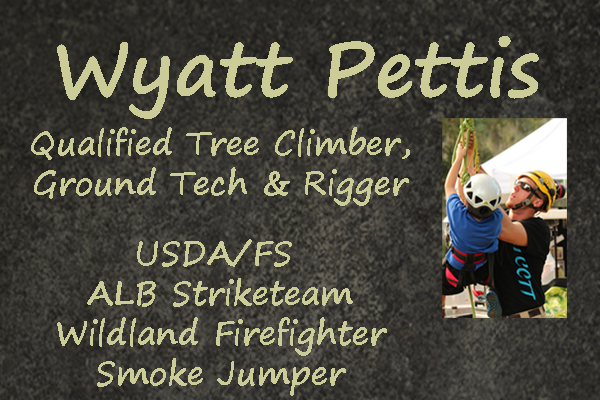 Trees Vermont Team Member Wyatt Pettis Arborist