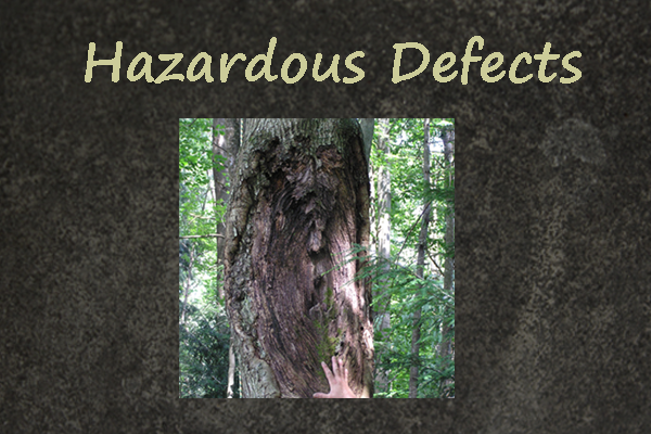 Learn about tree Defects and Hazards
