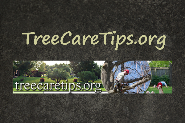Tree Care Tips Dot Org