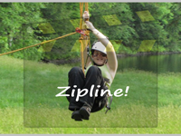 Ziplining Tree Experts Having Fun